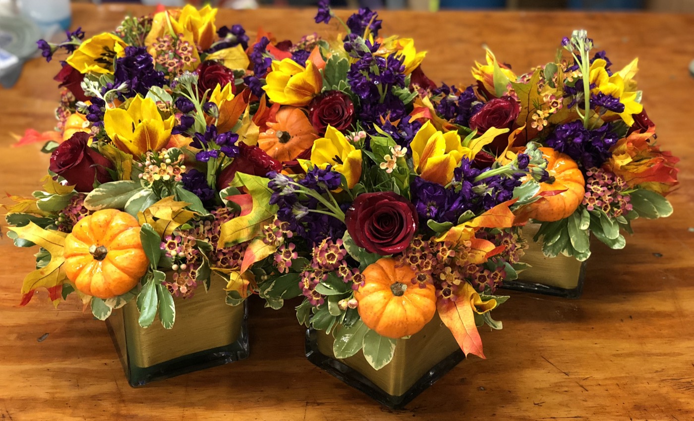 Seasonal designer's choice arrangement